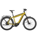 Speed bike Riese & Müller Supercharger GT HS